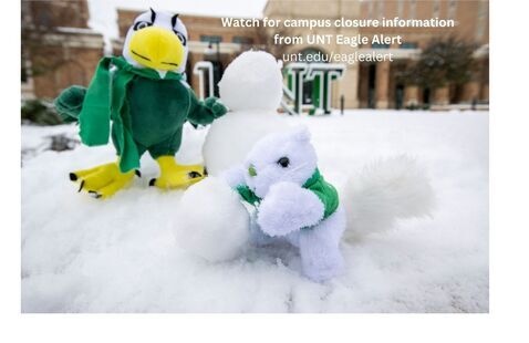 Photo of Scrappy and Lucky stuffies building a snowman with the words Watch for campus closure information from Eagle Alert, unt.edu/eaglealert