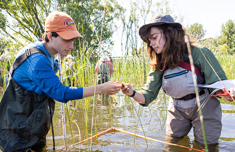 students in waders working in a wetland
