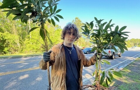 Male student holding invasive coral ardisia plants in his hands