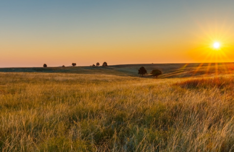 A prairie at sunrise.