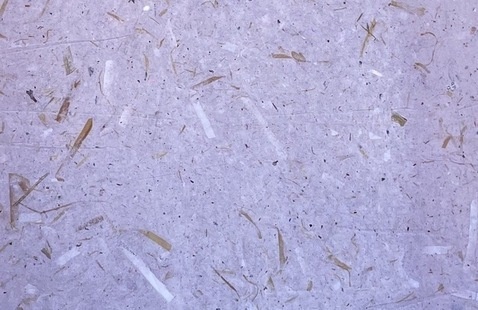 Piece of handmade paper dyed with madder root dye.