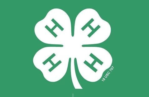 Four-leaf clover with each leaf containing a letter H