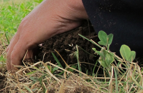 hands digging in soil