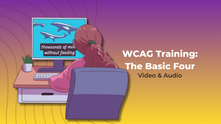 WCAG Training: The Basic Four - Video and Audio