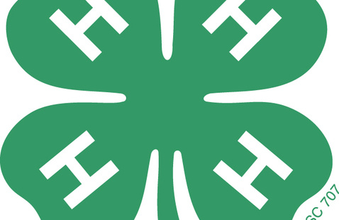 green 4-h clover emblem