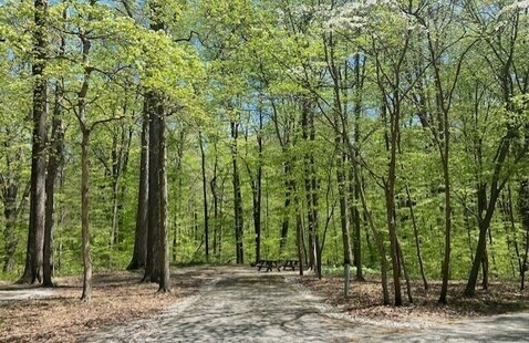 park road