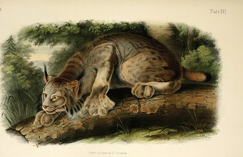 Image of Opening Reception for Student-Curated Exhibit