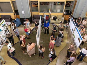 Aerial view of poster session in Kendade.