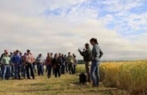 faculty presenting at field plot to field day attendees