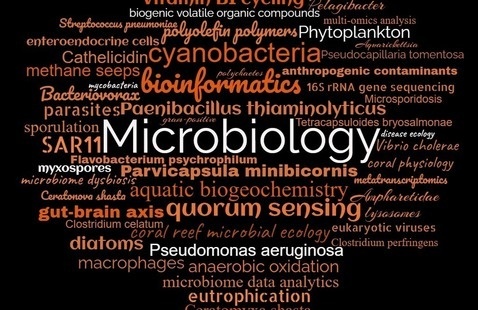 Word cloud describing research topics in the Department of Microbiology.