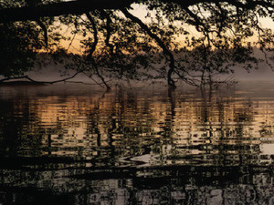 Image of Morning Meditation - Wednesdays