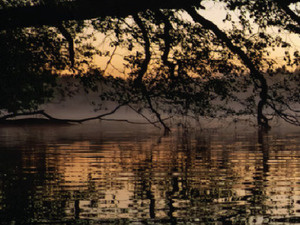 Image of Morning Meditation — Fridays