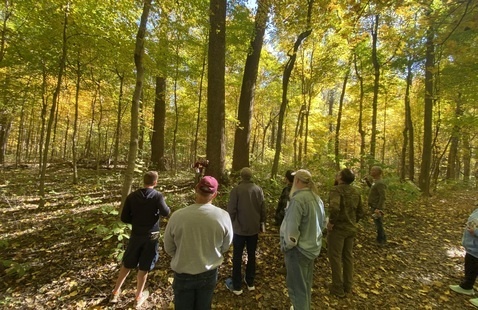 Participants learn about tree ID in the forest.