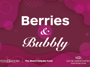 Berries & Bubbly branded image - deep pink/purple background, reminiscent of the bubbles in a glass of champagne.