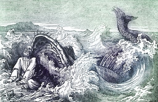 Another Look at Jonah