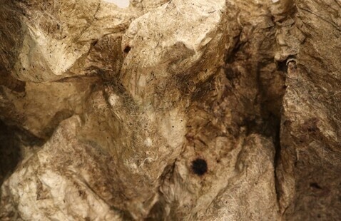 Caption info: Rob Cook, "Well Rooted," 2024, 10ft diameter, Handmade paper of Abaca, Bamboo, Cattail, Corn, Dandelion, Flax, Flower petals, Grapevine, Hosta, Iris, Jute, Kozo, Leek, Paper Mulberry, Pineapple, Pumpkin, Sunflower, Thistle, Wheat straw, Yucca, Zingiber