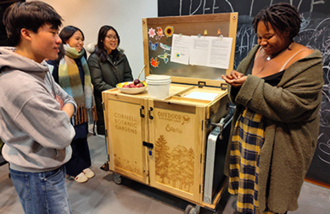 Image of Discovery Cart Days in the Gardens