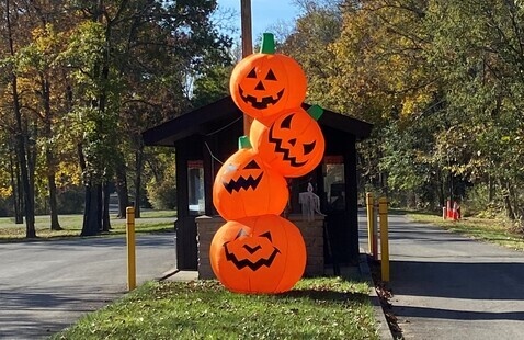 Halloween decor