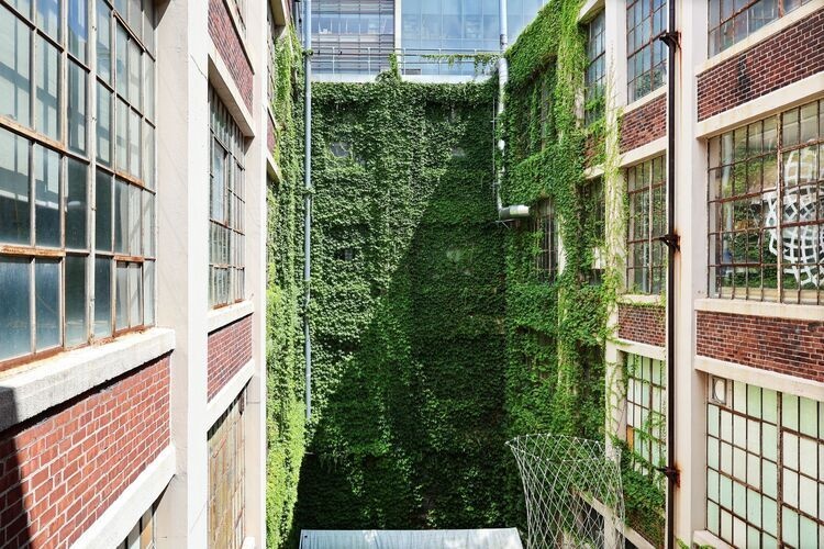 MAD N52 Open Studio (CPW)