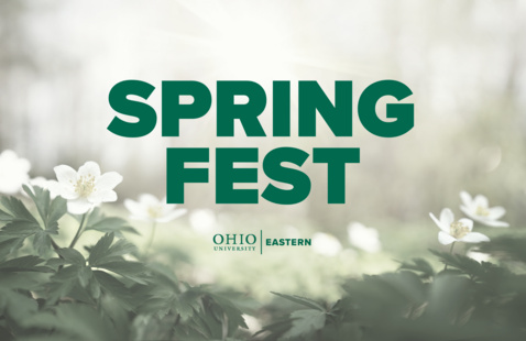 Spring Fest words in Green, small white flowers at the bottom of the photo