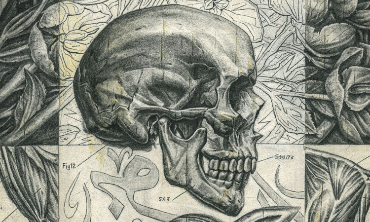 PENDING – Alumni Curatorial Project #13