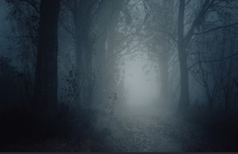 Image of LANO's Slightly Haunted Hike