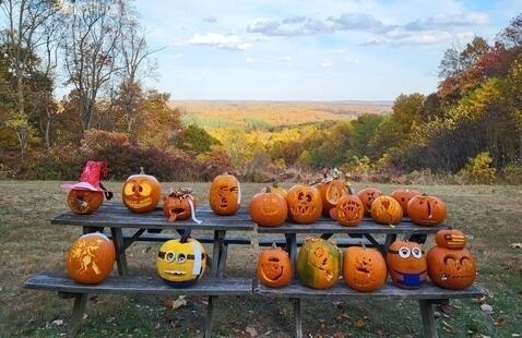 carved pumpkins