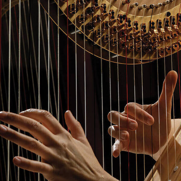 <a href='https://arts.stanford.edu/?event=harp-students-of-dan-levitan' title='Harp Students of Dan Levitan'>Harp Students of Dan Levitan</a>