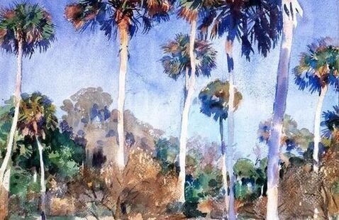 John Singer Sargent, Palm Trees, Watercolor on Paper, 1917 Image Courtesy of Wikimedia Commons, Public Domain 1917 Image courtesy of Wikimedia Commons. Public Domain 1917