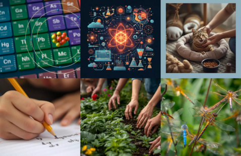 Image of Summer Pre-College Research Programs