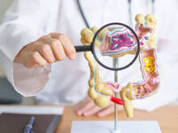 Follow Your Gut: Understanding Colorectal Health at Every Stage