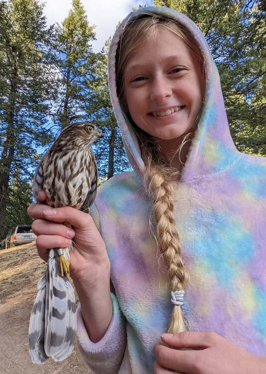 Daily Bird Migration Research at Lucky Peak