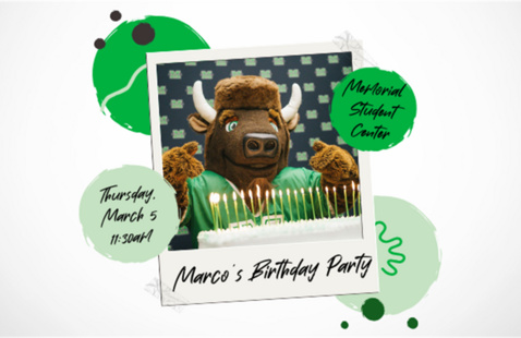 Image of Marco's Birthday Party