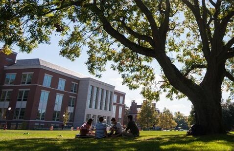 Students sitting under a tree in front of LeChase Hall.