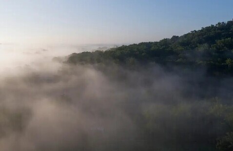 Photo courtesy of Bowman's Wildflower Preserve