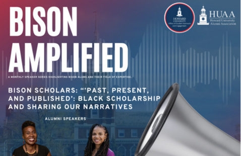 Image of Bison Amplified 