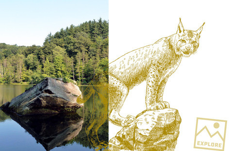 Image of Lawrence County Youth Environmental Stewardship Initiative