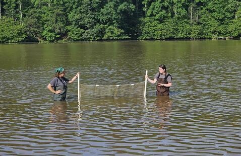 Image of Aquatic Adventures