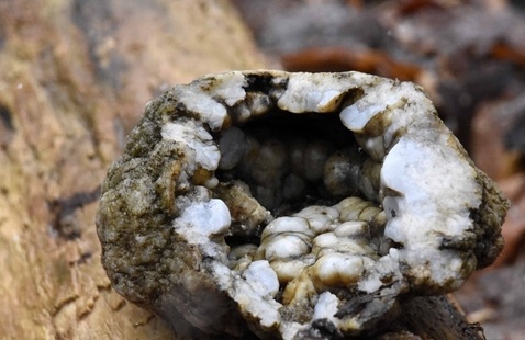 Geode, cracked open to show interior crystals of quartz and chalcedony.