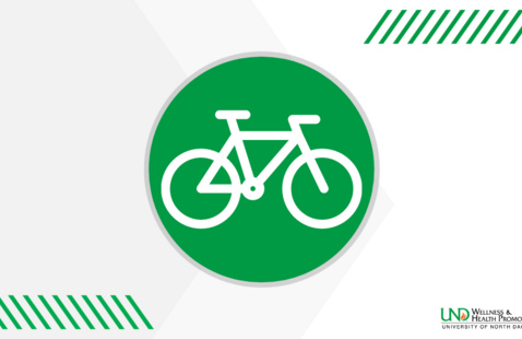 illustration of bike