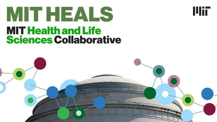 The Innovation Frontier: Insiders' Stories