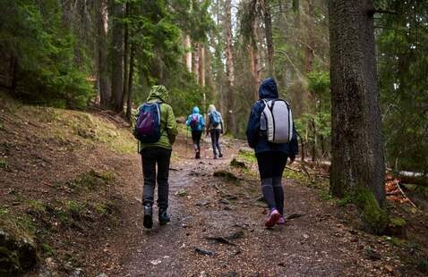 Image of Group Hiking: Channing Philbrick Park Trail
