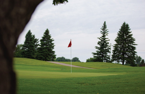 Pin Hole Flag