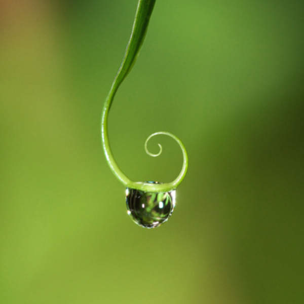 <a href='https://arts.stanford.edu/?event=poetry-science-as-arts-of-attention' title='Poetry & Science as Arts of Attention'>Poetry & Science as Arts of Attention</a>