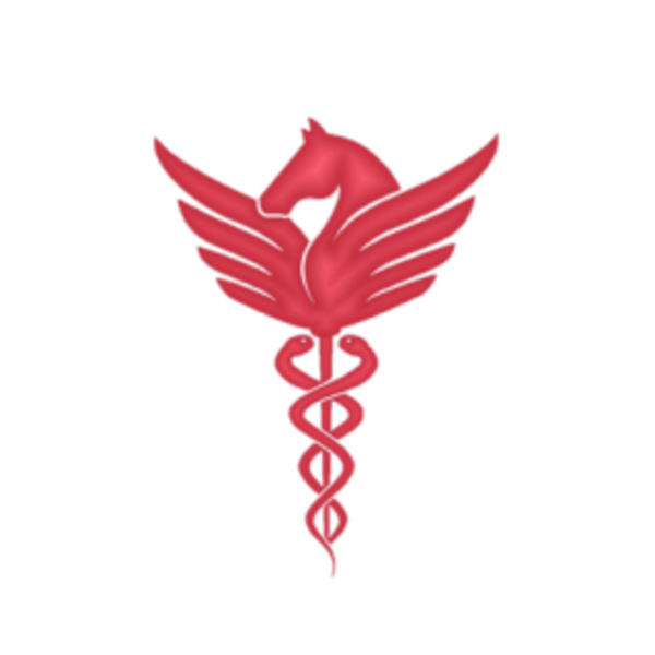 <a href='https://arts.stanford.edu/?event=pegasus-physician-writers-brentano-string-quartet' title='Pegasus Physician Writers & Brentano String Quartet'>Pegasus Physician Writers & Brentano String Quartet</a>