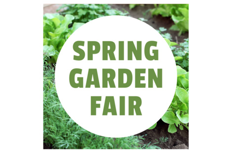 green plants in soil