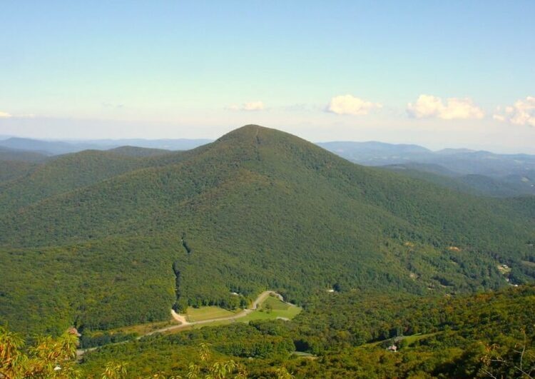 Elk Knob State Park: Curious Minds Adventure Scavenger Hunt