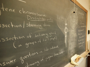 Chalkboard with notes about biology, MHC campus