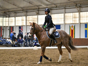 MHC Equestrian show