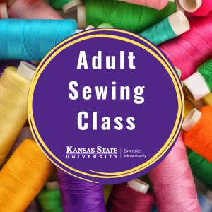 Image of Necktie Quilt Blocks - Adult Sewing Class